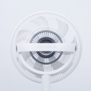 White Electric Fan