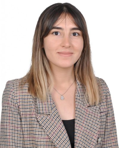 demet_uenal_prof_photo demet_uenal_prof_photo